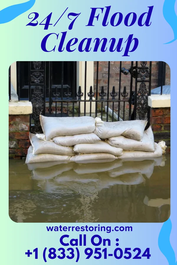 24/7 Flood Cleanup in North Courtland, AL