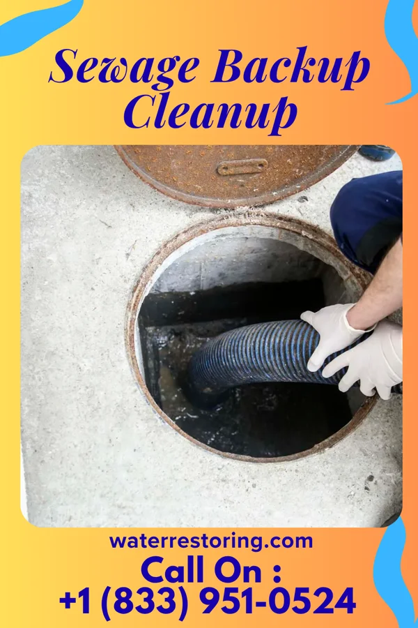 Sewage Backup Cleanup in North Courtland, AL